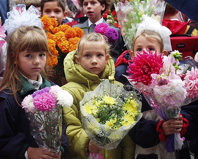 Астры на 1 сентября