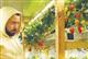Январская ягода: самарский сити-фермер выращивает клубнику
