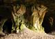 В Оренбуржье для туристов откроют рудники бронзового века