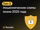 Билайн назвал три схемы телефонного мошенничества, наиболее популярные этой осенью