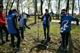 120 молодых деревьев украсили Парк Победы в Кинеле
