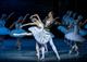 На сцене Самарского театра оперы и балета покажут жемчужину русской классики — балет "Лебединое озеро"