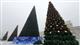 Площадь Куйбышева украсят семь новогодних елок