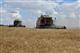 В Самарской области повышают урожайность зерновых культур