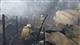 При крупном пожаре на волжском острове Поджабный в Самаре сгорело семь строений