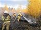 В Тольятти потушили крупный лесной пожар