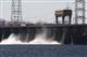 Жигулевская ГЭС собирается оспорить взыскание 6 млн руб. ущерба за гибель судака