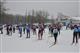 Лыжные гонки на призы "Волжской коммуны" пройдут в начале марта