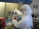 Число заразившихся коронавирусом в Самарской области перевалило за четыре тысячи