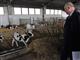 Глава региона раскритиковал качество кормов на животноводческих фермах Хворостянского района