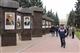 В Тольятти состоялось торжественное открытие городской Аллеи Славы