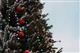В Тольятти будет установлено 10 новогодних елок