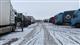 Самарские таможенники остановили фуру с 25 тоннами контрафакта
