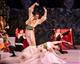 Самарский театр оперы и балета приглашает на последние в этом году показы "Бахчисарайского фонтана" и "Дон Кихота Ламанчского"