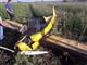 Самолет "Арго-2" упал под Тольятти из-за разгерметизации двигателя