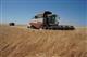 Дмитрий Азаров поблагодарил аграриев региона за новый рекорд урожая зерновых - свыше 3,1 млн тонн