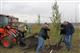 В районе "Кошелев-проект" посадили аллею из 72 деревьев