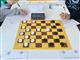 В Самарской области завершилось первенство России по шашкам: победитель в категории до 9 лет — спортсмен из Самары