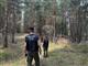 Сызранский суд рассмотрит дело мастера леса о взятках 