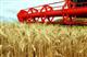 В Аркадакском районе Саратовской области намолочено более 100 000 тонн зерна