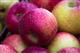 В Курумоче у пассажиров изъяты яблоки и нектарины с вредителями