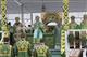 Патриарх Московский и всея Руси Кирилл проводит литургию в Дивееве
