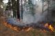 В Безенчукском районе пожарные почти 10 часов тушили лес-горельник