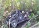 На дороге Отрадный - Богатое пострадали водитель и два пассажира съехавшего в кювет Chevrolet