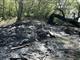 За сутки в двух лесничествах Самарской области произошли пожары