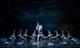 Шостакович Опера Балет приглашает на балет "Лебединое озеро"
