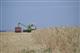 В Саратовской области собрано свыше 3 млн тонн зерна урожая-2020