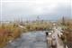 Немецкие архитекторы назвали самарскую площадку под стадион для ЧМ-2018 лучшей в России