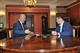 Николай Меркушкин и Алексей Немов обсудили возможность строительства в Тольятти гимнастического комплекса