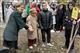 В Самарской области возле школ высадили 200 яблонь в честь педагогов и наставников