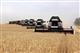 Первые 100 тыс. тонн хлеба: в Самарской области началась уборочная кампания