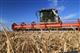 В Самарской области убрано более 1 млн гектаров зерновых