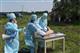Жителям Хворостянского района возместят ущерб от африканской чумы