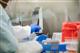 В Самарской области за сутки выявлено 97 заболевших коронавирусом