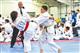 Бойцы губернии выступили на Всероссийских играх боевых искусств 