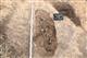 В кургане бронзового века в Волжском районе найдены два погребения