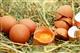 В 2021 г. в Ульяновской области будет производиться около 220 млн яиц