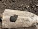 Вблизи с. Курумоч археологи нашли каменные орудия, развалы сосудов и фрагмент бронзового браслета