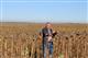 Пестравский фермер Владимир Кондрашев делает ставку на новые технологии земледелия