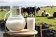 В Чувашской Республике увеличился средний надой молока на одну корову
