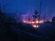 Около шести часов в Тольятти тушили горевший лес