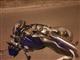 Мотоциклист сбил мужчину на пешеходном переходе в Самаре