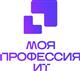 В Самаре пройдет очный региональный этап конкурса "Моя профессия — ИТ"
