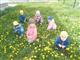 В детском саду "Одуванчик" подрастают юные экологи