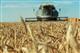 Регионы ПФО экспортировали зерно на $86 млн