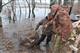 В первый день запрета на рыбалку в Самарской области у браконьеров изъяли около 200 кг рыбы